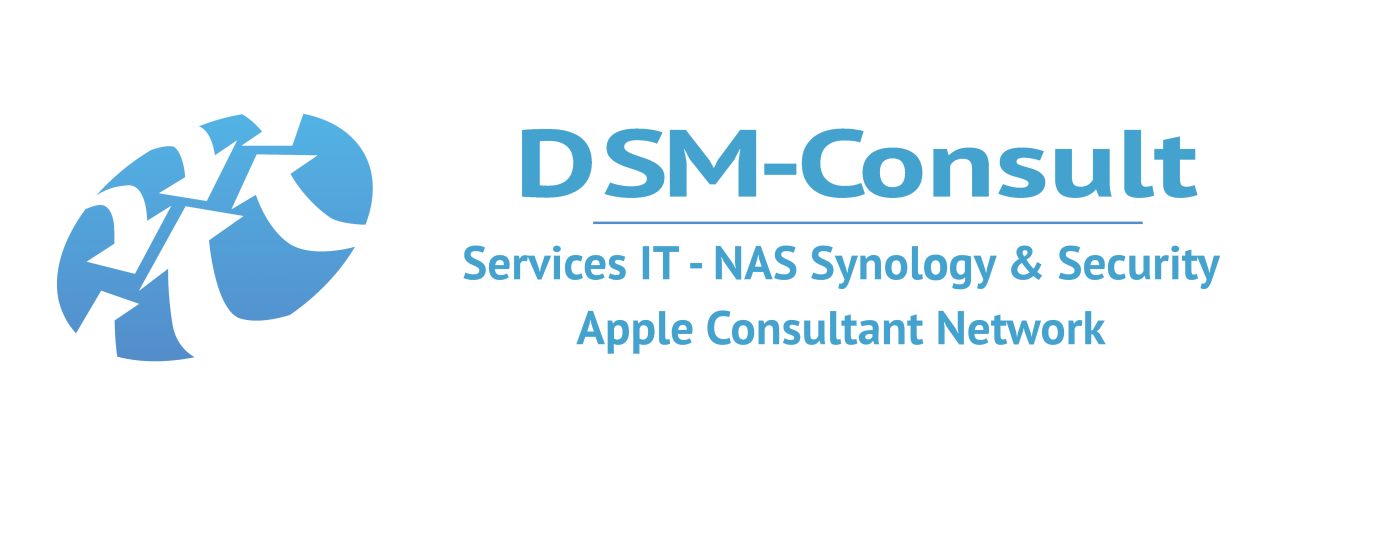 DSM-Consult IT Rect BL